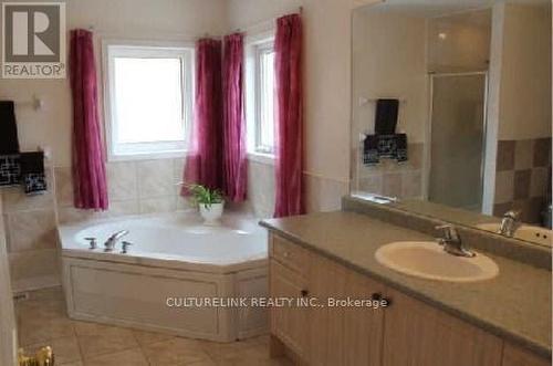 163 Stonebridge Drive, Markham (Berczy), ON - Indoor Photo Showing Bathroom