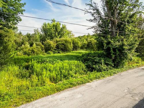 Terre/Terrain - Rue Larose, Dunham, QC 