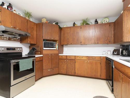 110 Empress Avenue S, Thunder Bay, ON - Indoor Photo Showing Kitchen