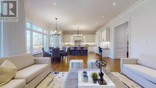 222 Florence Avenue, Toronto, ON - Indoor Photo Showing Living Room