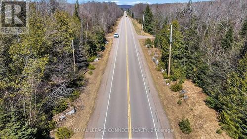 12548 N County Rd 503, Highlands East, ON 