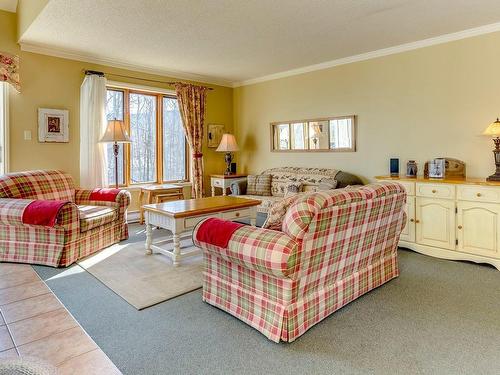 Salon - 250 Ch. Boulanger, Sutton, QC - Indoor Photo Showing Living Room