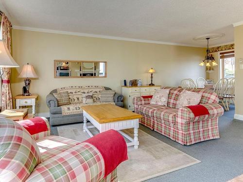 Salon - 250 Ch. Boulanger, Sutton, QC - Indoor Photo Showing Living Room