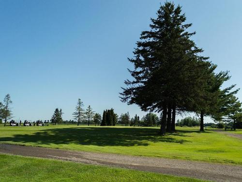 Terre/Terrain - 580 Ch. Du Golf, Louiseville, QC - Outdoor With View