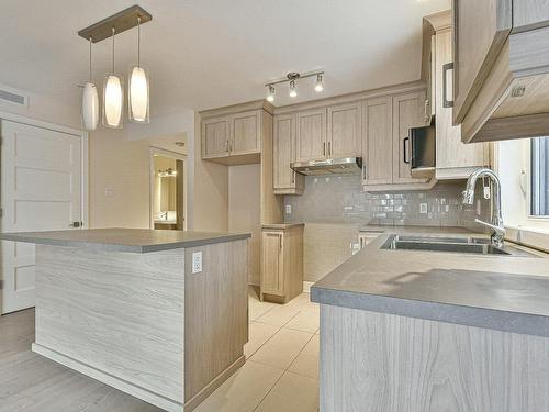 Kitchen - 1303 Ch. De La Rivière, Val-David, QC - Indoor Photo Showing Kitchen With Double Sink