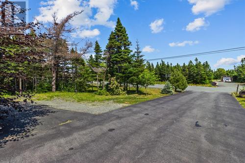 14 Western Island Pond Drive, Torbay, NL - Outdoor With View