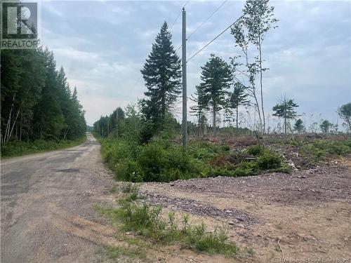 Lot Hopkins Road, Gaspereau Forks, NB 