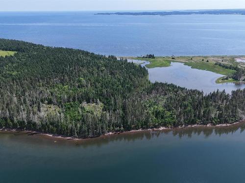 Grand Gully Island, River Tillard, NS 