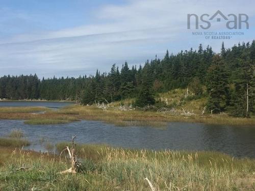 Grand Gully Island, River Tillard, NS 