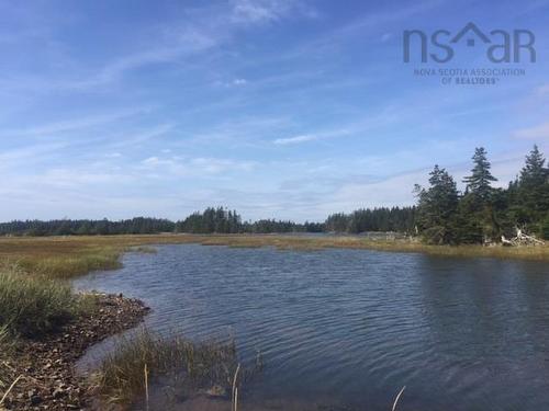 Grand Gully Island, River Tillard, NS 