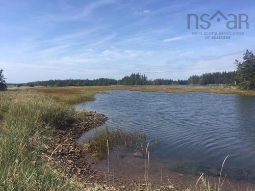 Grand Gully Island, River Tillard, NS 