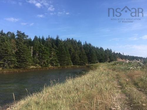 Grand Gully Island, River Tillard, NS 