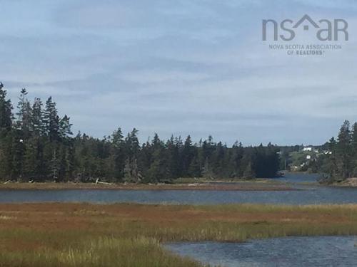 Grand Gully Island, River Tillard, NS 