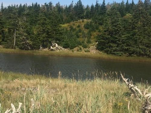 Grand Gully Island, River Tillard, NS 