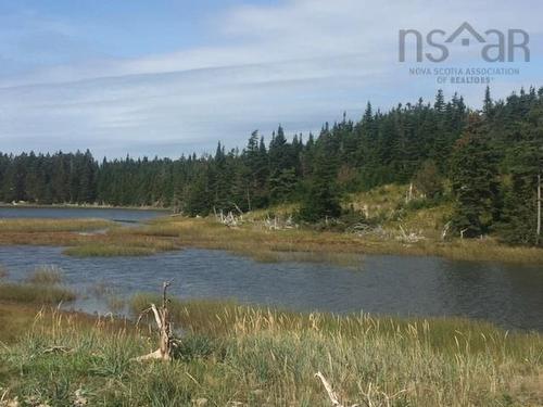 Grand Gully Island, River Tillard, NS 