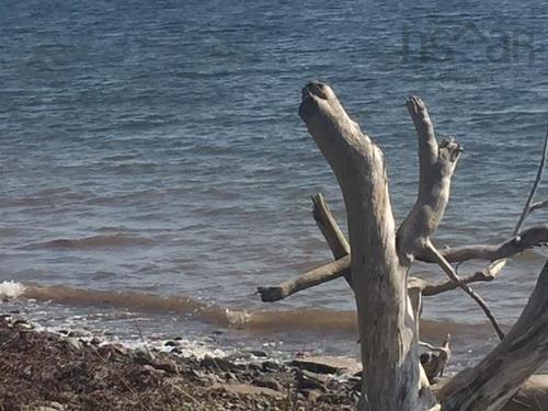 Grand Gully Island, River Tillard, NS 