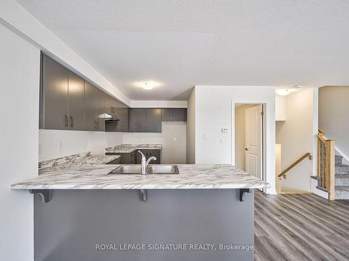 5 Roxanne Dr, Hamilton, ON - Indoor Photo Showing Kitchen With Double Sink With Upgraded Kitchen