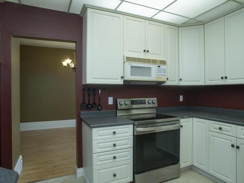 223 Marks Street S, Thunder Bay, ON - Indoor Photo Showing Kitchen