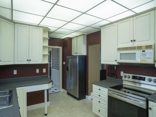 223 Marks Street S, Thunder Bay, ON - Indoor Photo Showing Kitchen