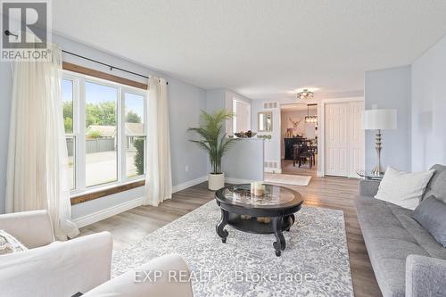 429 Main Street E, Shelburne, ON - Indoor Photo Showing Living Room