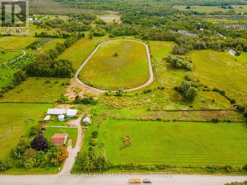 12251 Old Simcoe Road, Scugog, ON - Outdoor With View