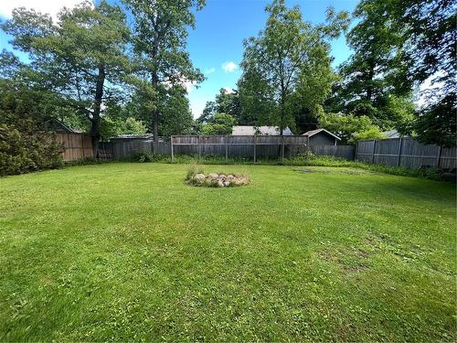 3256 Maple Avenue, Ridgeway, ON - Outdoor With Backyard