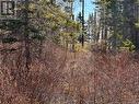 Lot De La Grande Île Lane, Pointe-Alexandre, NB 