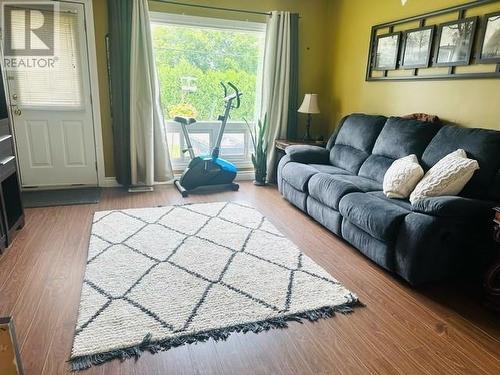 224 Moonlight Avenue, Sudbury, ON - Indoor Photo Showing Living Room