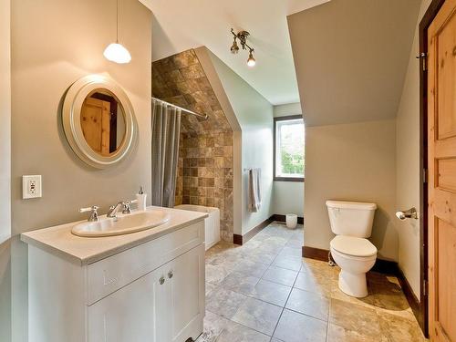 Salle de bains - 350 Ch. Du Domaine, Saint-Denis-De-Brompton, QC - Indoor Photo Showing Bathroom