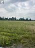 View to the south - N/A Johnson Road, South Glengarry, ON 