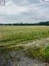 View to the north - N/A Johnson Road, South Glengarry, ON 