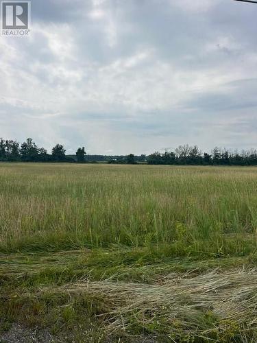 View of the lot - N/A Johnson Road, South Glengarry, ON 