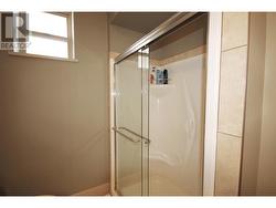 Walk in Shower-Lower Level - 