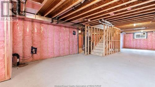 49 Callams Bay Crescent, Amherstburg, ON - Indoor Photo Showing Basement