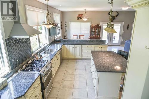 1550 Tramore Road, Golden Lake, ON - Indoor Photo Showing Kitchen With Double Sink