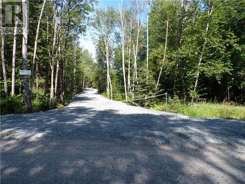 1167 Wagoosh Road, Spragge, ON 