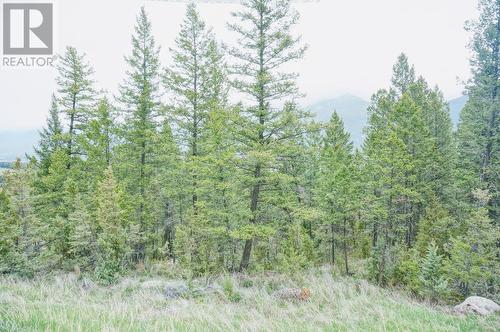 Lot 7 Bella Vista Boulevard, Fairmont Hot Springs, BC 