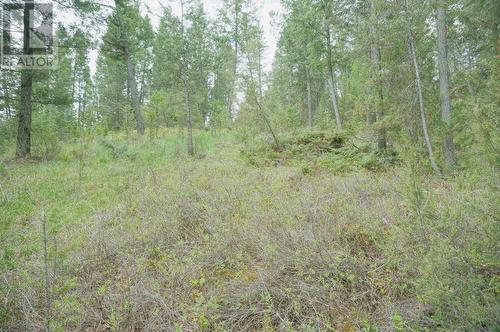 Lot 7 Bella Vista Boulevard, Fairmont Hot Springs, BC 