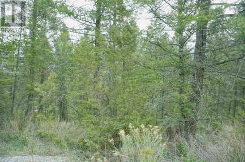 Lot 7 Bella Vista Boulevard, Fairmont Hot Springs, BC 