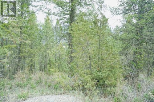 Lot 7 Bella Vista Boulevard, Fairmont Hot Springs, BC 