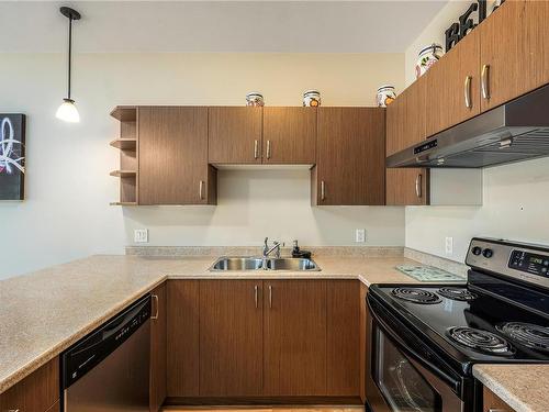 303-2115 Meredith Rd, Nanaimo, BC - Indoor Photo Showing Kitchen With Double Sink