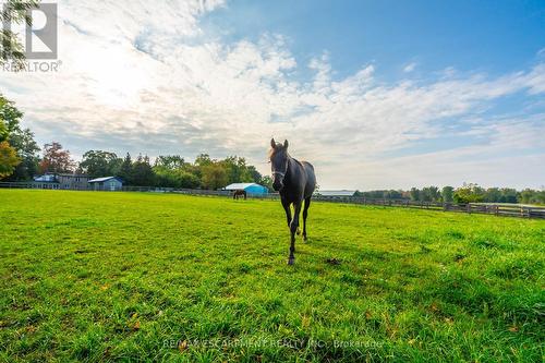 65 7Th Concession Road E, Hamilton, ON - Outdoor With View