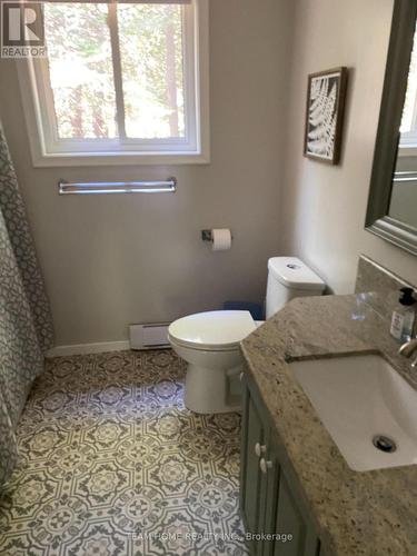 119 Dorcas Bay Road, Northern Bruce Peninsula, ON - Indoor Photo Showing Bathroom