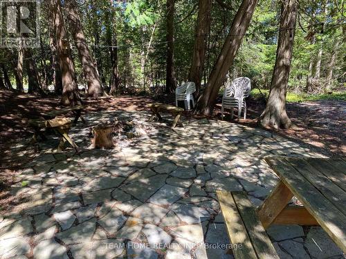 119 Dorcas Bay Road, Northern Bruce Peninsula, ON - Outdoor With View