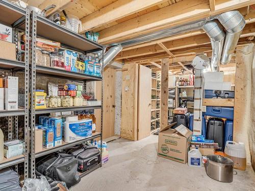 Storage - 4729 Rue De La Sarcelle, Saint-Augustin-De-Desmaures, QC - Indoor Photo Showing Basement