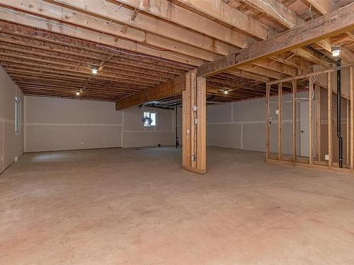 4021 Otters Close, Duncan, BC - Indoor Photo Showing Basement