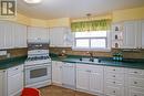 219 Greenwood Avenue, Oshawa (Vanier), ON  - Indoor Photo Showing Kitchen 