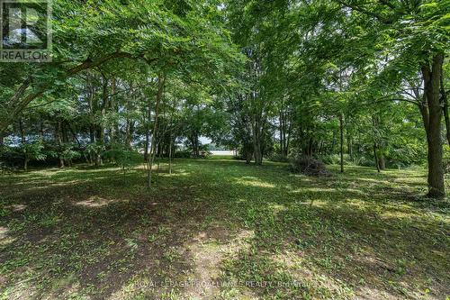 Pt Lot3 Cressy Bayside Road, Prince Edward County (Athol), ON 