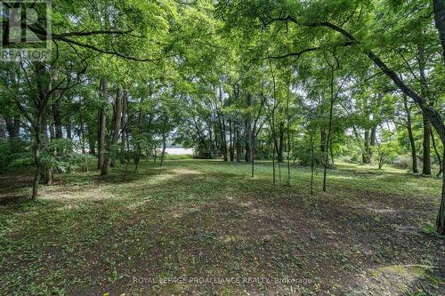 Pt Lot3 Cressy Bayside Road, Prince Edward County (Athol), ON 