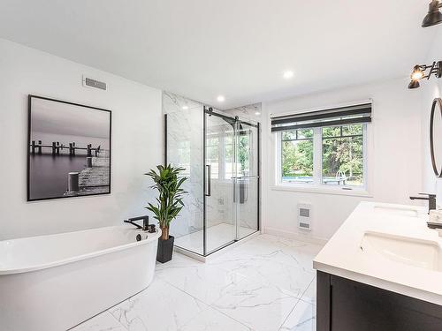 Salle de bains - 207 Rue Des Pins, Roxton Falls, QC - Indoor Photo Showing Bathroom